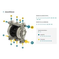 ATEX Zone 2 Membranpumpe Boxer 50 - 60 l/min - Polypropylen Gehäuse - Polypropylen Kugeln - PTFE O-Ringe