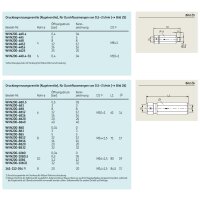 SKF WVN200-10E6-S1 -  Druckbegrenzungsventil