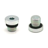 Lincoln Verschlussschraube - G 1/2" - Edelstahl - Innen-Sechskant - 400 bar