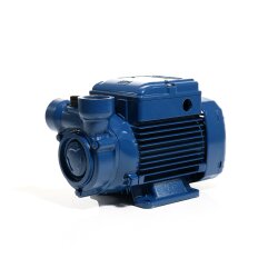Seitenkanalkreiselpumpe - 230 Volt - 5 bis 50 l/min - 6 bar - 8 bis 50 Meter - 1" - für sauberes Wasser