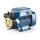 Seitenkanalkreiselpumpe - 230 Volt - 2 bis 32 l/min - 10...
