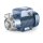 Seitenkanalkreiselpumpe - 230/400 Volt - 5 bis 50 l/min -...