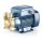 Seitenkanalkreiselpumpe - 230 Volt - 2 bis 45 l/min - 10...