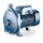 Kreiselpumpe - für sauberes Wasser - 230 Volt - 50 bis 550 l/min - 10 bar - 14 bis 34 Meter - 2"