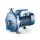 Kreiselpumpe - 230/400 Volt - 50 bis 550 l/min - 10 bar - 18 bis 38 Meter - 2“ - für sauberes Wasser