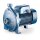 Kreiselpumpe - 230/400 Volt - 100 bis 900 l/min - 10 bar - 45 bis 76 Meter - 2“ - für sauberes Wasser