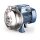 Kreiselpumpe - für sauberes Wasser - 230 Volt - 10 bis 100 l/min - 6 bar - 9 bis 21,5 Meter - 1 1/4" x 1" - aus Edelstahl AISI 316L