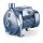 Kreiselpumpe - für sauberes Wasser - 230 Volt - 10 bis 60 l/min - 6 bar - 7 bis 15 Meter - 1"