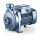 Kreiselpumpe NGA 1B - für sauberes Wasser (mit Feststoffen) - 230/400 Volt - 50 bis 300 l/min - 6 bar - 8 bis 17 Meter - 1 1/2" x 1 1/2“ - Laufrad: Edelstahl AISI 316 - mit offenem Laufrad