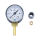 BEKA MAX Manometer - Ø 6 mm - NG 40 - 0-60 bar