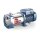 Wasserpumpe PLURIJETm 6/130 - 130 l/min (7,8 m³/h) -...