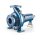 Wasserpumpe FG 100/160C - industrielle Anwendung -...