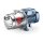 Wasserpumpe JCRm 1A 24CL - Wasserversorgung, Druckerhöhung & Bewässerung - häuslich & gewerblich - 60 l/min (3,60 m³/h) - einphasig 230 V-50 Hz - 0,55 kW