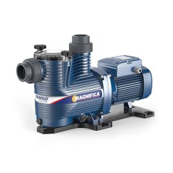Schwimmbadpumpe MAGNIFICA - 350 bis 700 l/min - Für ein Poolvolumen bis zu 195m³ - dreiphasig - 400 Volt - 50 Hz - verschiedene Ausführungen