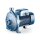 Kreiselpumpe CP - 230/400 Volt - verschiedene Ausführungen