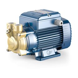 Seitenkanalkreiselpumpe Typ PVm - 230 Volt - verschiedene Ausführungen