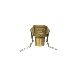 Camlock Dose - Mutterteil - Typ C - 1" - mit Schlauchstutzen - Messing