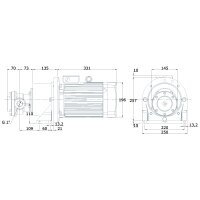 Elektro-Zahnradpumpe FOM 430 - 230/400 Volt - 3,0 kW - G 1" - 41,6 l/min - 24 bar - Hochdruck-FPM-Wellendichtring - Medientemperatur -30°C bis +150°C