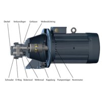 Elektro-Zahnradpumpe FOM 590 - 230/400 Volt - 11 kW - G 1 1/2" - 124 l/min - 30 bar - FPM-Wellendichtring - Medientemperatur -30°C bis +150°C