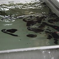 Bio-Circle Ulraschallreiniger Degrease Emulsion US...