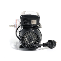 Zahnradpumpe - 3/8" IG - 10 l/min - 230V AC - Edelstahl
