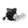 Zahnradpumpe - 3/8" IG - 10 l/min - 230V AC - Edelstahl