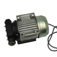 Elektrische Fl&uuml;gelzellenpumpe - 65 l/min - 230V