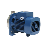Elektrische V2A Kreiselpumpe - 230V AC - 4 bar - 160 l/min