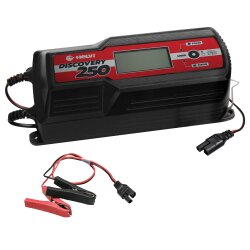Batterieladegerät - 300 Watt - 12/24 Volt