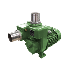 Kreiselpumpe - 230V - 400 Liter/min - 2 bar - 2" IG - Edelstahl-Motorwelle