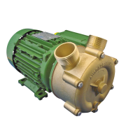 Seitenkanalkreiselpumpe - 400V - 60 l/min - 2 bar -...