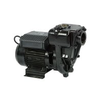 Dieselpumpe - 230V - 550 l/min - ohne Zubehör - Anschlüsse 2" IG Flansch