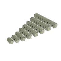 Nippelblock - 5 Anschlüsse - M10x1 - Durchgangsbohrung - Edelstahl - 2 Befestigungsbohrungen