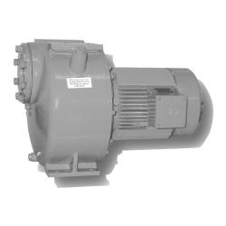 HORN Kreiselpumpe MP 5/D - 400 Volt - 700 L/Min. - 2,5 kW - Ansaughöhe: 4,5 Meter - IP 44