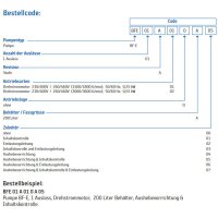 Delimon Elektrische Fasspumpe BFE - für 200 kg Fässer - 230/400 Volt - 1 Auslass - 50 ccm/min (3,0 l/h) - mit Niveauschalter - mit Entlastungsleitung