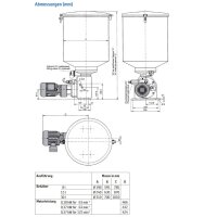 Delimon Zweileitungspumpe BMB01A04OB01 - 100 Liter - Füllstandsschalter - Pumpe BMB