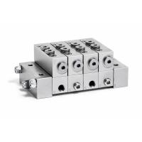 Delimon Verteiler M2504A00D001B1C1B1C00 - 4 Segmente - 4 Auslässe
