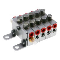 Delimon Progressivverteiler ZPA05A01IIIII15 - 5 Segmente - Eingangsverschraubung 1x GE 06 LR CF + Anschlussgarnitur R1/8 - 6 - Stahl