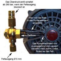 BEKA MAX - Progressivpumpe EP-1 - mit Steuerung BEKA-troniX1 - 12V - 8 kg -1 x PE-120 - Laufzeit 1-16 min - Pausenzeit 0,5-8 h - Fettstandskontrolle