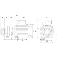 Elektro-Zahnradpumpe - 230/400 Volt - 0,12 kW - 0,17-0,6 l/min - 10 bar Ausgangsdruck - G 1/4&quot; IG