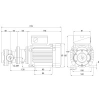 Elektro-Zahnradpumpe - 230/400 Volt - 0,12-0,55 kW - 3,0 l/min - 10-70 bar Ausgangsdruck - G 3/8&quot; IG