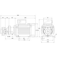 Elektro-Zahnradpumpe - 230/400 Volt - 0,12-0,75 kW - 4,5 l/min - 10-60 bar Ausgangsdruck - G3/8&quot; IG