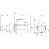 Elektro-Zahnradpumpe - 230/400 Volt - 0,37-1,5 kW - 24,1 l/min - 4-20 bar Ausgangsdruck - G 3/4&quot; IG