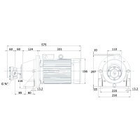 Elektro-Zahnradpumpe mit Montagefu&szlig; - 230/400 Volt - 3,0 kW - 20,3 l/min - 50 bar Ausgangsdruck - G 3/4&quot; IG