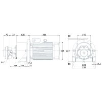 Elektro-Zahnradpumpe mit Montagefu&szlig; - 230/400 Volt - 3,0 kW - 30,5 l/min - 32 bar Ausgangsdruck - G 1&quot; IG