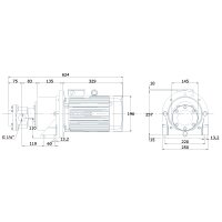Elektro-Zahnradpumpe mit Montagefu&szlig; - 230/400 Volt - 3,0 kW - 62,7 l/min - 16 bar Ausgangsdruck - G 1 1/4&quot; IG