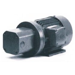 BEKA MAX - Zahnradpumpe - Baureihe MZIR - 230V AC/400 V  - 0,55 kw - ohne/mit DBV - Förderrichtung rechts/links - 4 l/min