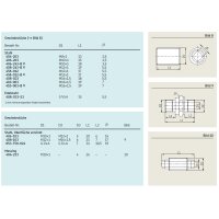 SKF Gewindestück - G 1/4 (d1) - 15 mm (l) - Stahl - Ohne Loc-Tide Beschichtung