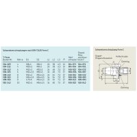 SKF Schwenkverschraubung in T-Form - M12x1 (d1) auf M10x1 (d2) - F&uuml;r Rohr &Oslash; 6 mm