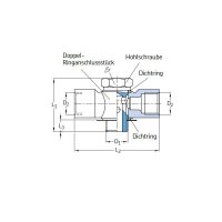 SKF Schwenkverschraubung in T-Form - G 1/4 (d1) auf M14x1,5 (d2) - Für Rohr Ø 8 mm